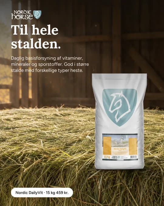 Meta-annonce for Nordic Horse (NH-03)