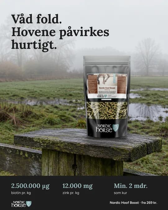 Meta-annonce for Nordic Horse (NH-05)