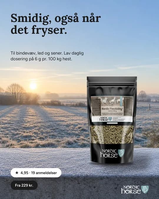 Meta-annonce for Nordic Horse (NH-07)