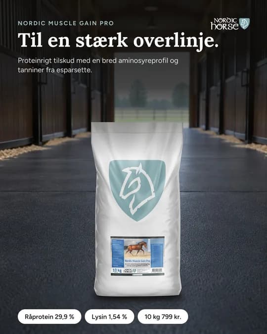 Meta-annonce for Nordic Horse (NH-24)