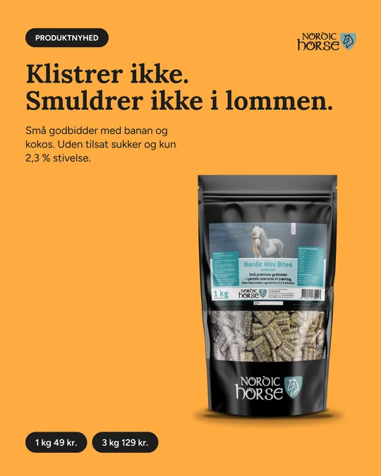 Meta-annonce for Nordic Horse (NH-37)
